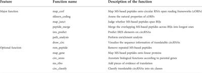 MStoCIRC: A powerful tool for downstream analysis of MS/MS data to predict translatable circRNAs